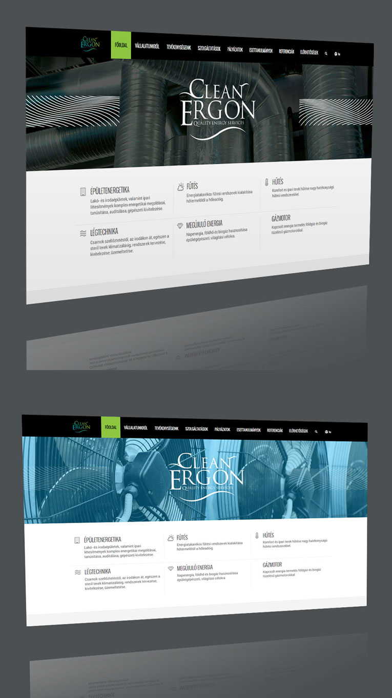 cleanergon-765×1360-websites-bena